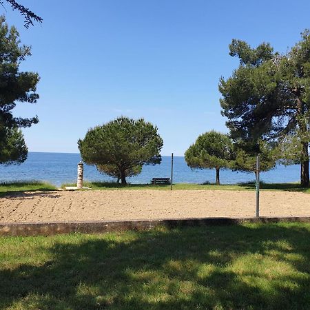 Family Bungalow Pineta Novigrad Istria Dış mekan fotoğraf