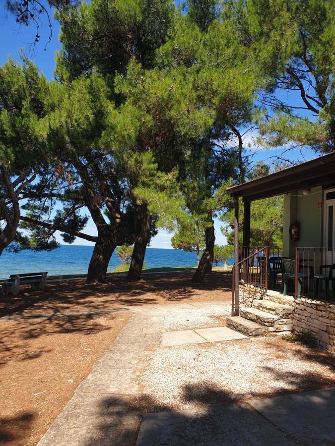 Family Bungalow Pineta Novigrad Istria Dış mekan fotoğraf