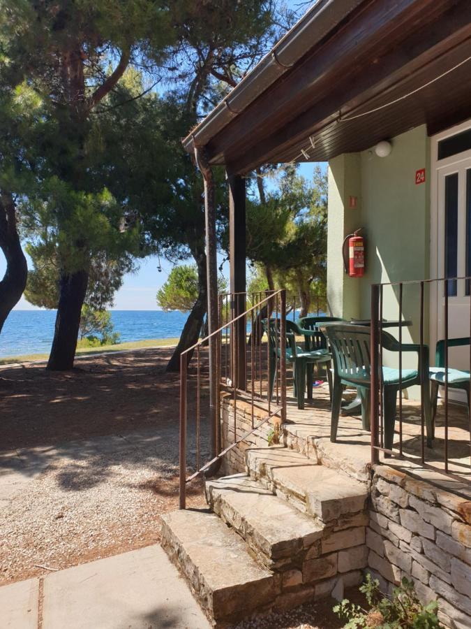 Family Bungalow Pineta Novigrad Istria Dış mekan fotoğraf