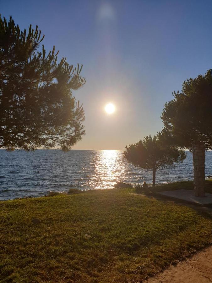 Family Bungalow Pineta Novigrad Istria Dış mekan fotoğraf