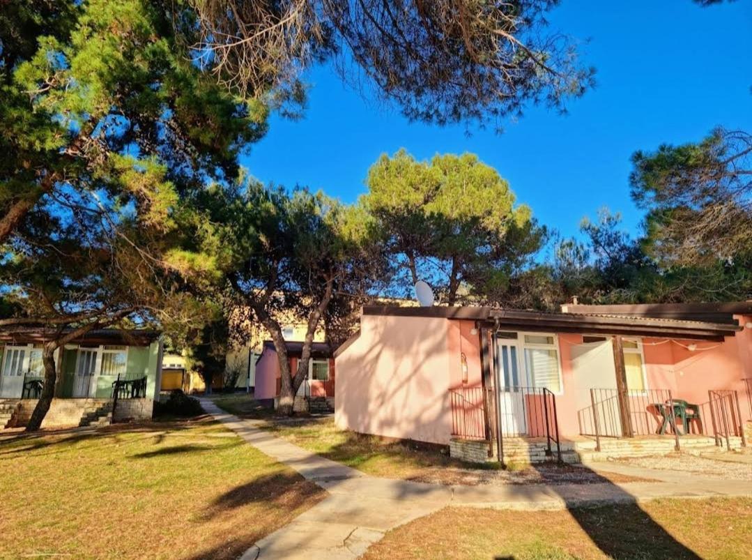 Family Bungalow Pineta Novigrad Istria Dış mekan fotoğraf