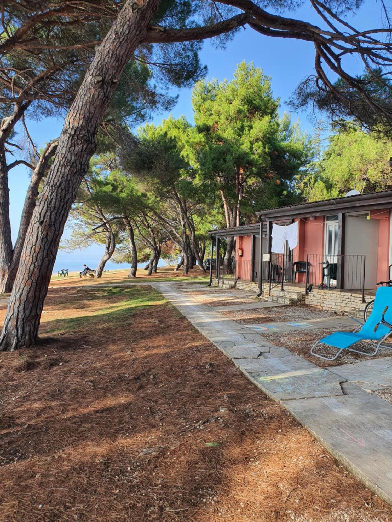 Family Bungalow Pineta Novigrad Istria Dış mekan fotoğraf