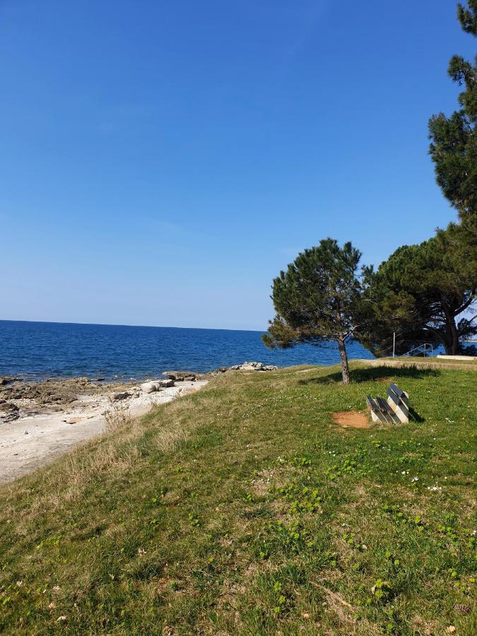 Family Bungalow Pineta Novigrad Istria Dış mekan fotoğraf