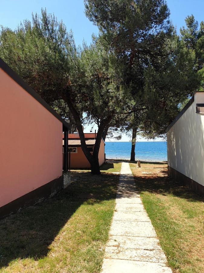 Family Bungalow Pineta Novigrad Istria Dış mekan fotoğraf